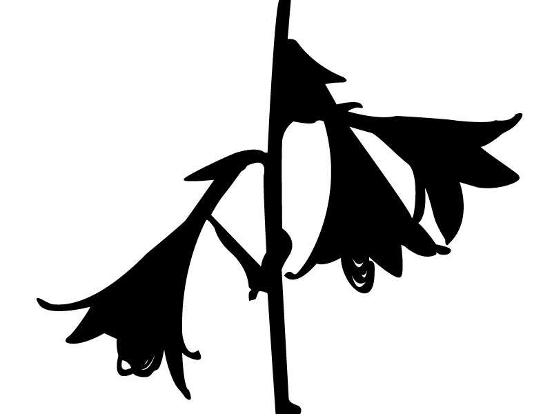 flower-outlines | Judyphanhs's Blog
