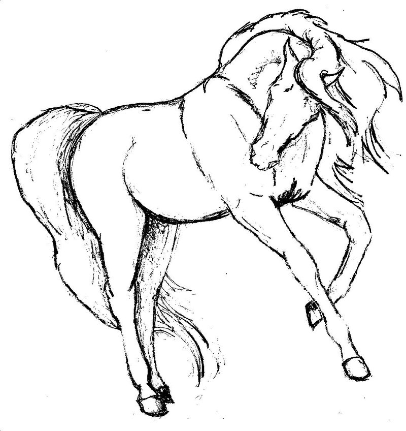 Horse Pictures Drawings - ClipArt Best