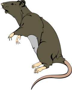 Rat Clip Art - Tumundografico
