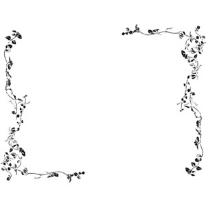 Vine Borders clip art - Polyvore