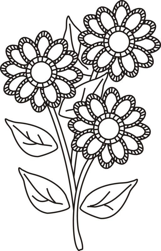 Coloring pages draw a easy rose |coloring pages for adults ...