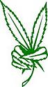 Pot Leaf Drawing