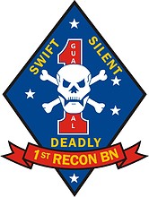 U.S. Marine Corps Force Reconnaissance, branch insignia - vector image