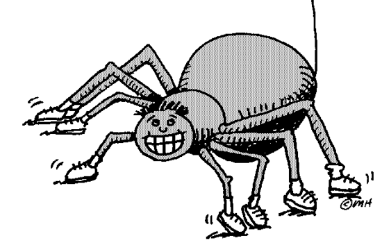 grinning spider - Clip Art Gallery