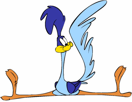 Wile E. Coyote and The Road Runner/Gallery - Looney Tunes Wiki