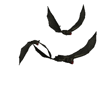 Flying Bats Wallpapers and Pictures | 15 Items | Page 1 of 1