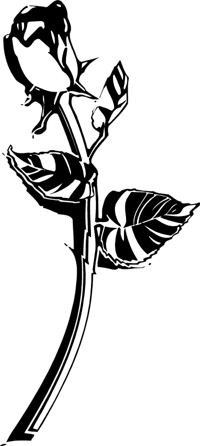 Free Stock Photos | Illustration Of A Long Stem Rose | # 9623 ...