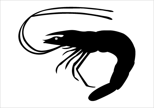 Free shrimp clipart 1 page of clip art - dbclipart.com