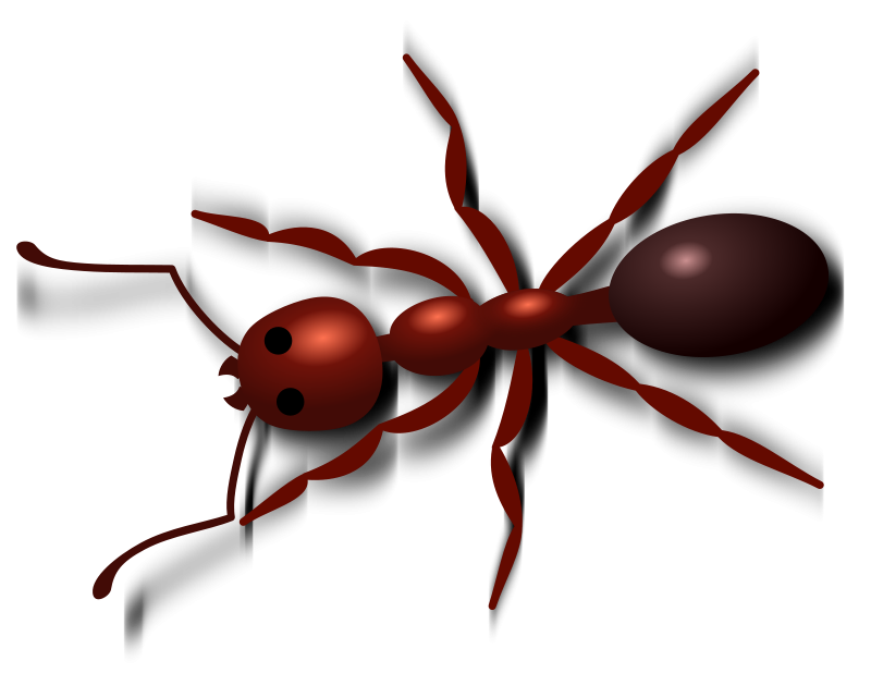 Cartoon Insect | Free Download Clip Art | Free Clip Art | on ...