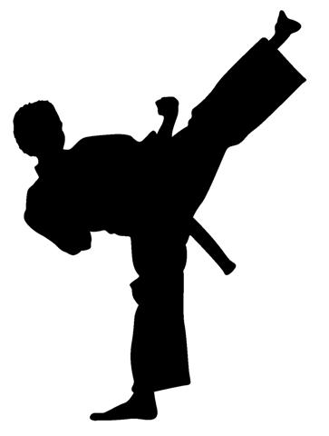 Karate Silhouette 3 Decal Sticker