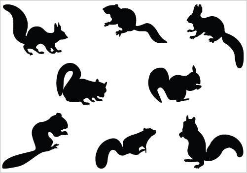 Baby Squirrel Clipart