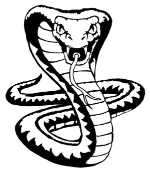 Cobra Snake | Snakes, King Cobra ...