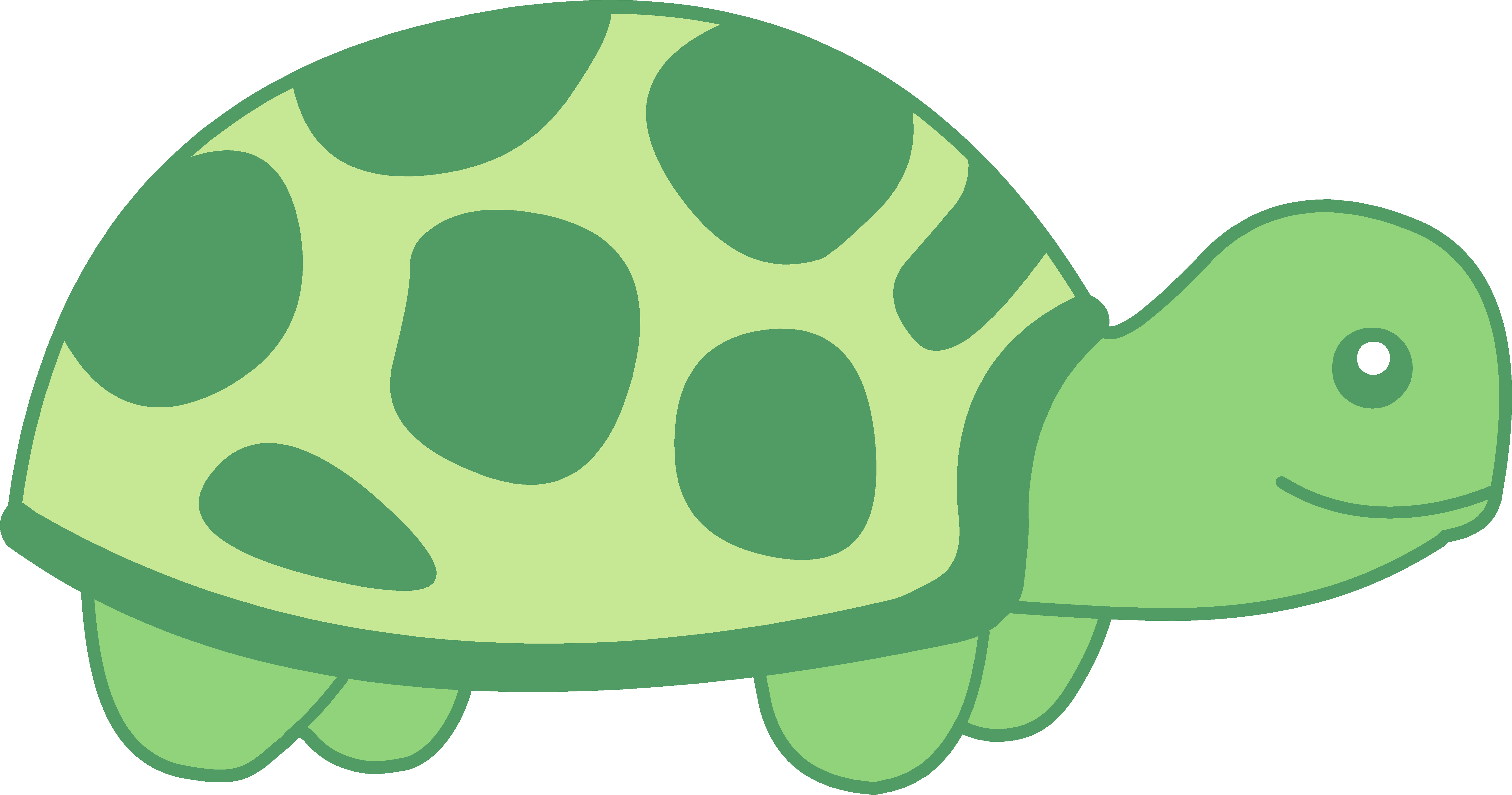 Turtle in shell clipart