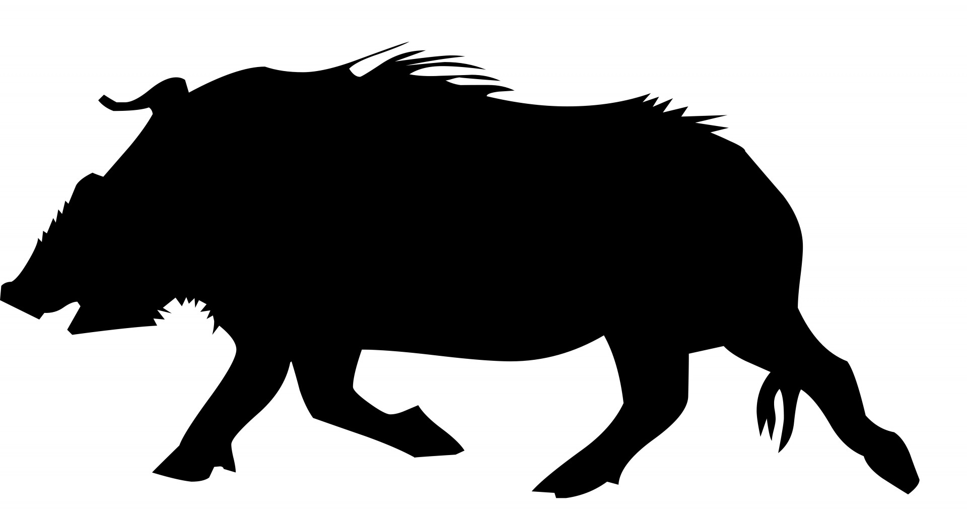 Wild Boar Free Stock Photo - Public Domain Pictures
