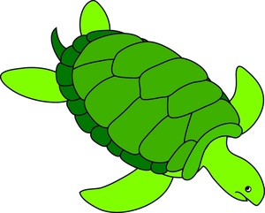 Animated Turtle Clipart