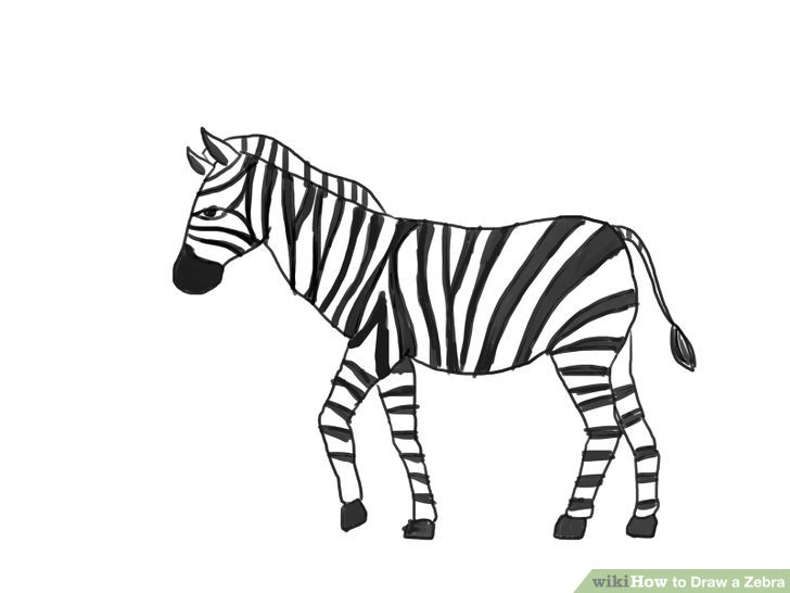 How to Draw a Zebra (with Pictures) - wikiHow