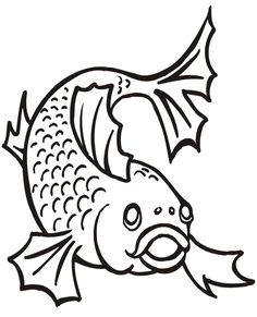Coloring, Fish and Thoughts