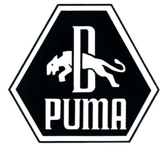 PUMAÂ® – History