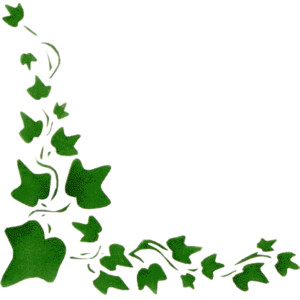 Ivy Clipart | Free Download Clip Art | Free Clip Art | on Clipart ...