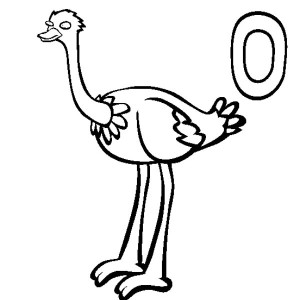 Ostrich Coloring Page for Kids | Color Luna