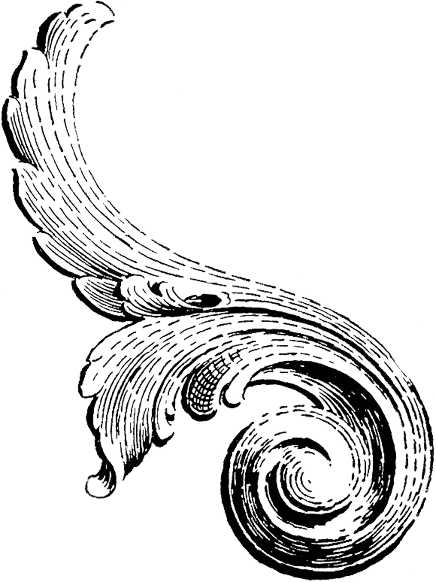 Vintage Scroll Ornament Images - The Graphics Fairy