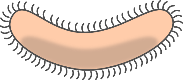 Bacteria Shape1 clip art - vector clip art online, royalty free ...