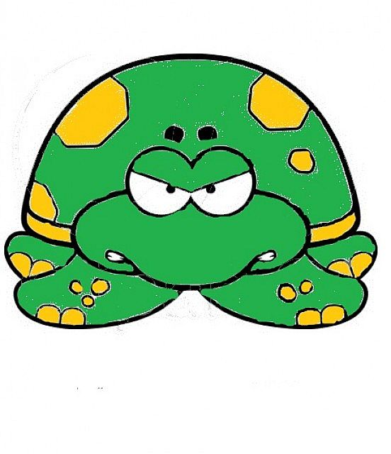 Project Turtle Minecraft Project