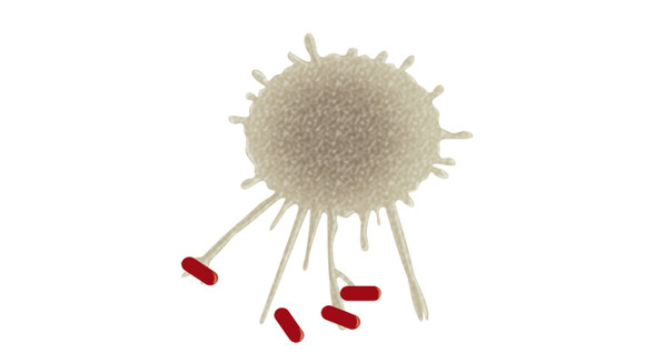 New Macrophage Generation Medium DXF - European Biotechnology News