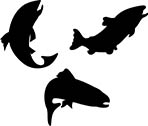 nx_trout_silhouettes.jpg