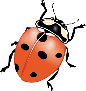 Ladybug clip art - vector clip art online, royalty free & public ...