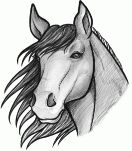 Pictures Of Horse Drawings - ClipArt Best