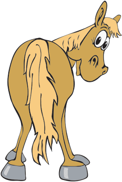 Ran? Bloke | It's all about Quarter Horses