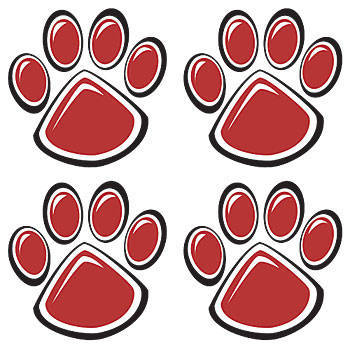 Paw Print Temporary Tattoos, Animal Paw Funtoo