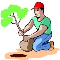 English Exercises: HOUSEHOLD CHORES