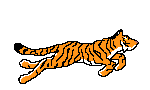 Tiger Show - Elephant Safari Charges