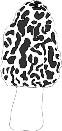 mushroom_clip_art_11791.jpg