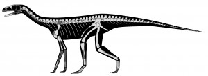 New Fossils Suggest High Diversity Among Close Dinosaur Relatives ...