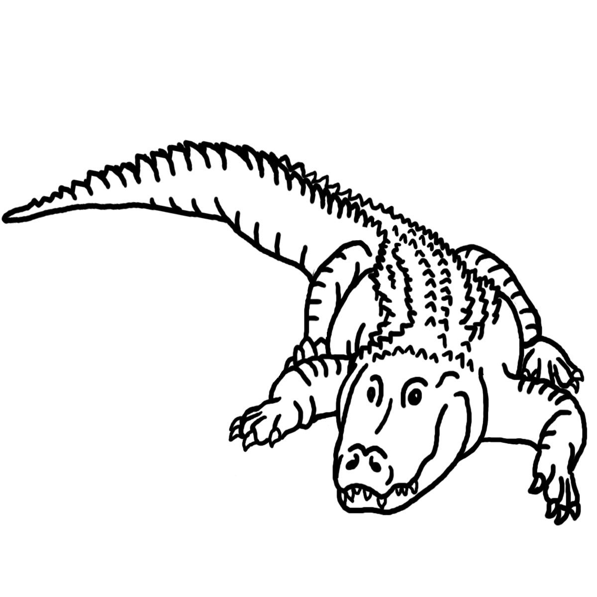 alligator clipart