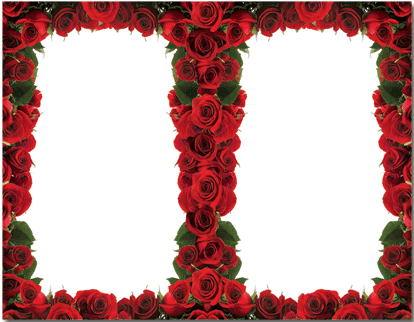 Rose Page Border