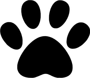 6pcs 4" Dog Paw Footprint Vinyl Wall Car Decal Sticker | eBay
