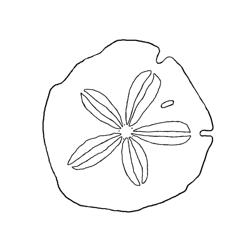 Images For > Sand Dollar Outline