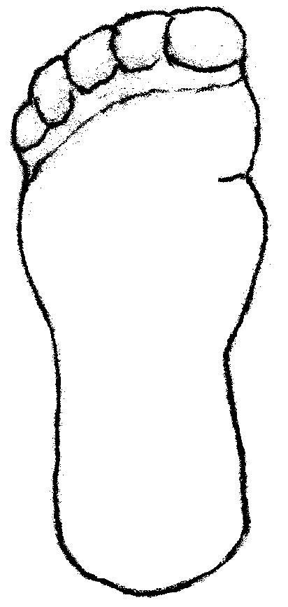 Foot Outline