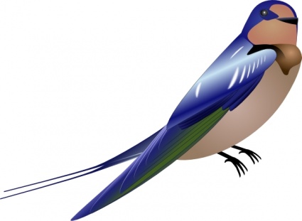 Hirundo clip art - Download free Nature vectors