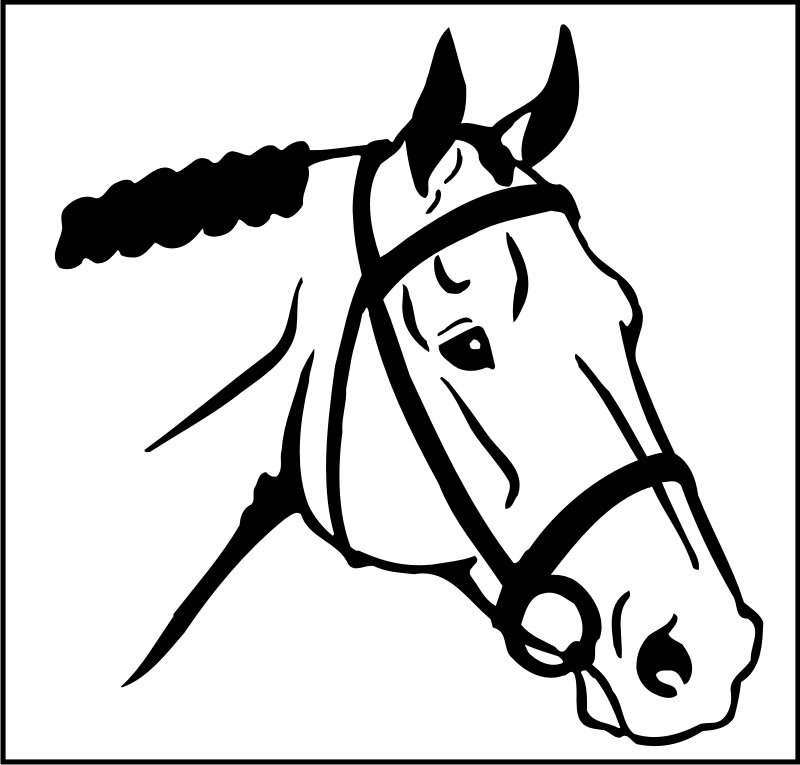 Horse Head Drawing 14 Comments