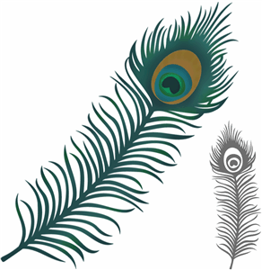Silhouette Online Store - View Design #8186: beautiful peacock feather