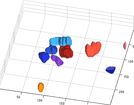 PhagoSight: Neutrophil and Macrophage Analysis Software