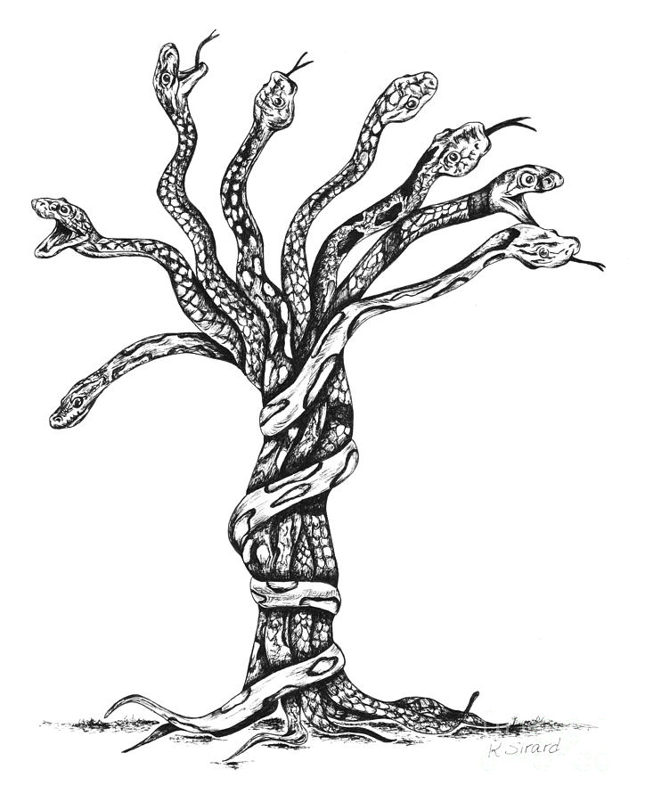Snakes Drawings for Sale