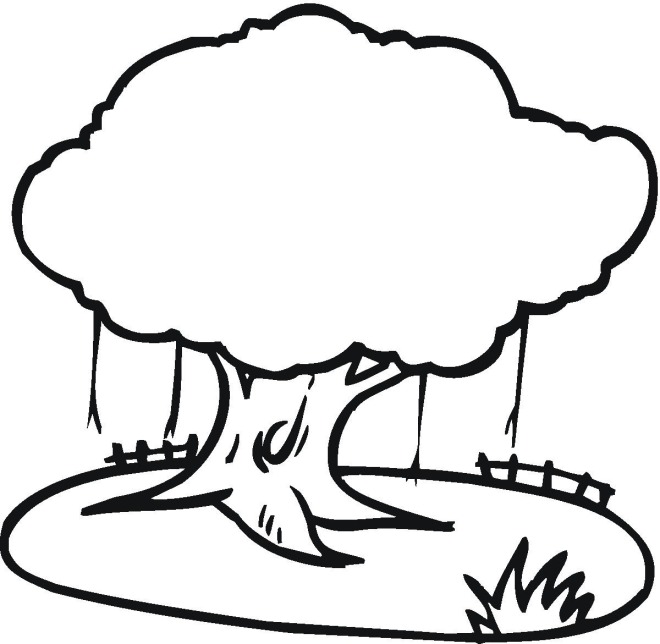 tree-3-coloring-pages-7-com.jpg