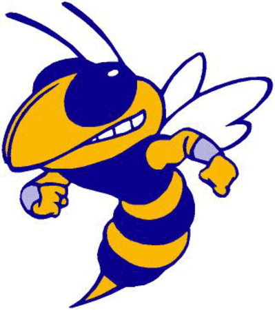 Yellow jacket mascot clipart