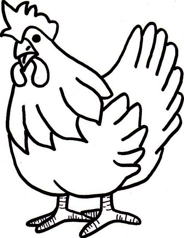 Chicken Coloring Page How To Draw Chicken Coloring Page Coloring ...